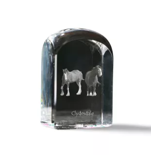 Clydesdale - crystal cube with a photo, photo of a horse in crystal, cubic paperweight from Art-Dog brand