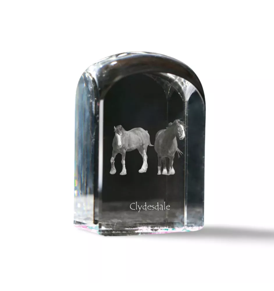 Clydesdale - Kristallwürfel mit Bild, Pferdebild im Kristall, sechseckiger Papierclip der Marke Art-Dog