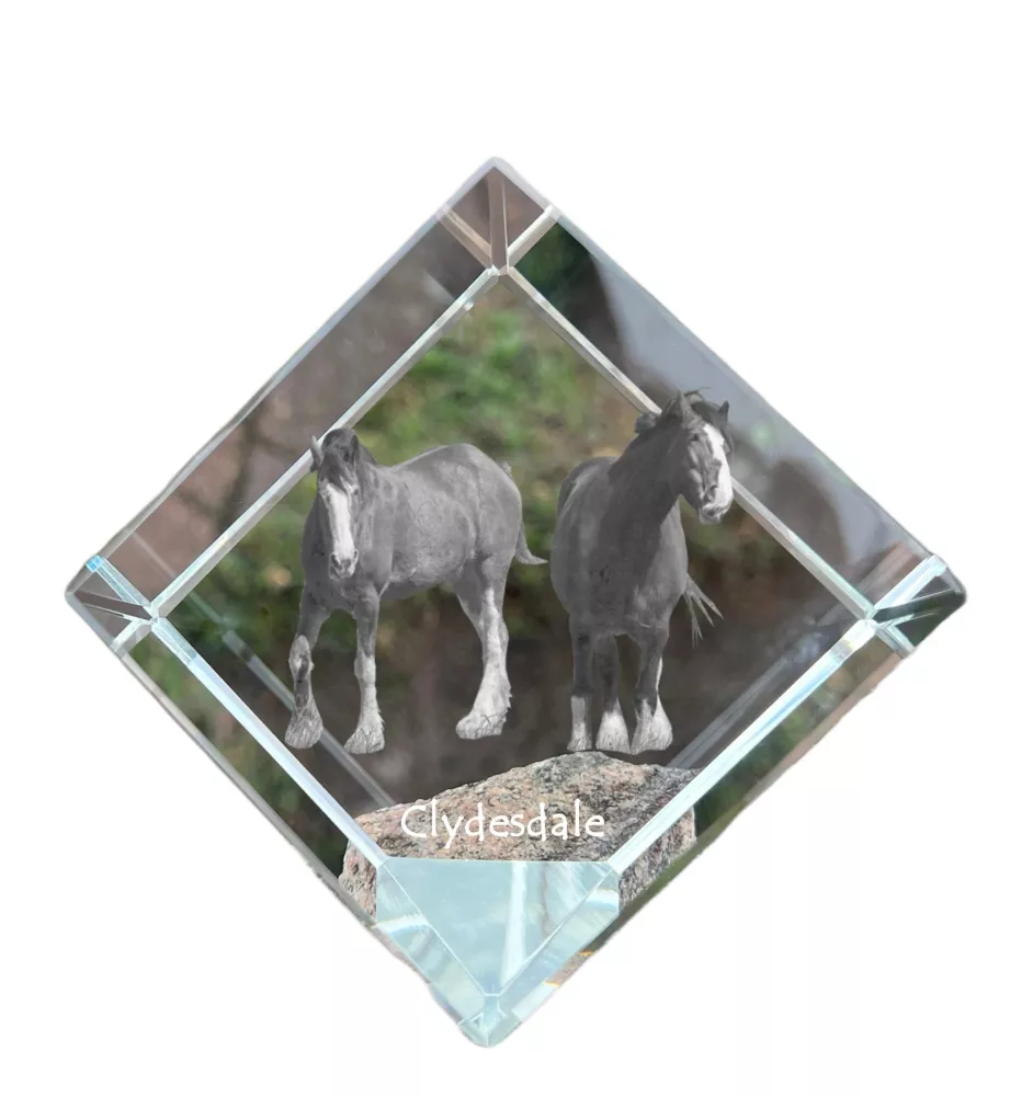 Clydesdale kostka kryształowa z koniem Art-Dog