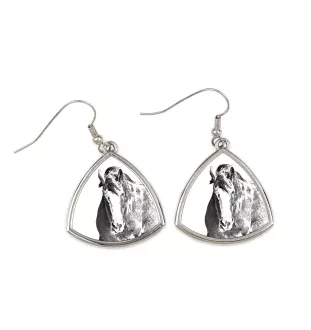 Clydesdale - boucles d'oreilles avec un cheval, boucles d'oreilles pendantes avec une image, bijoux personnalisés avec l'impression de la marque Art-Dog