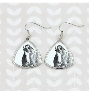 Clydesdale - boucles d'oreilles avec un cheval, boucles d'oreilles pendantes avec une image, bijoux personnalisés avec l'impression de la marque Art-Dog