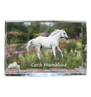 Tschechisches Warmblut - Kristall mit einem Pferdebild, Bild im Glas, moderne Ausstellung des Art-Dog-Bildes.