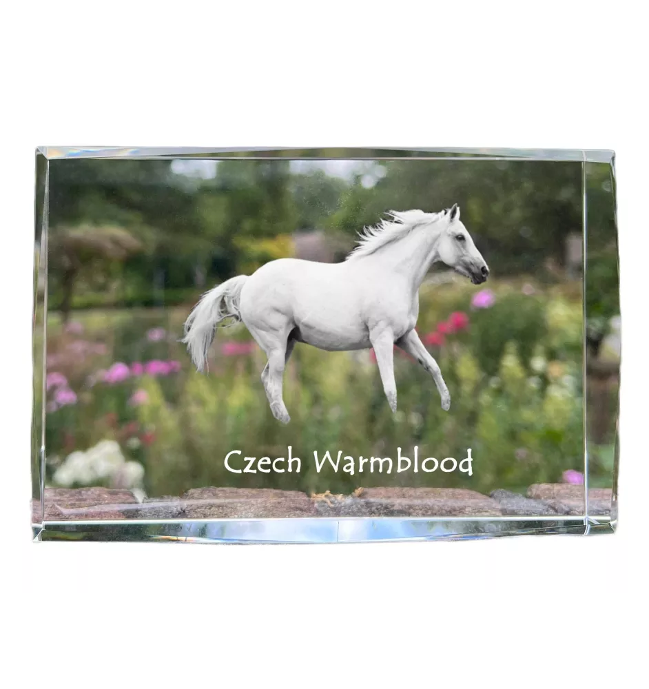 Tschechisches Warmblut - Kristall mit einem Pferdebild, Bild im Glas, moderne Ausstellung des Art-Dog-Bildes.