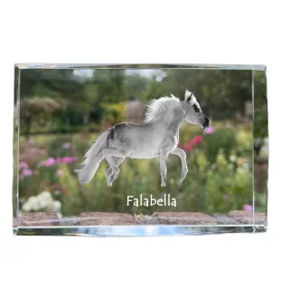 Falabella - Kristall mit einem Pferdebild, Bild im Glas, moderne Ausstellung des Art-Dog-Bildes.