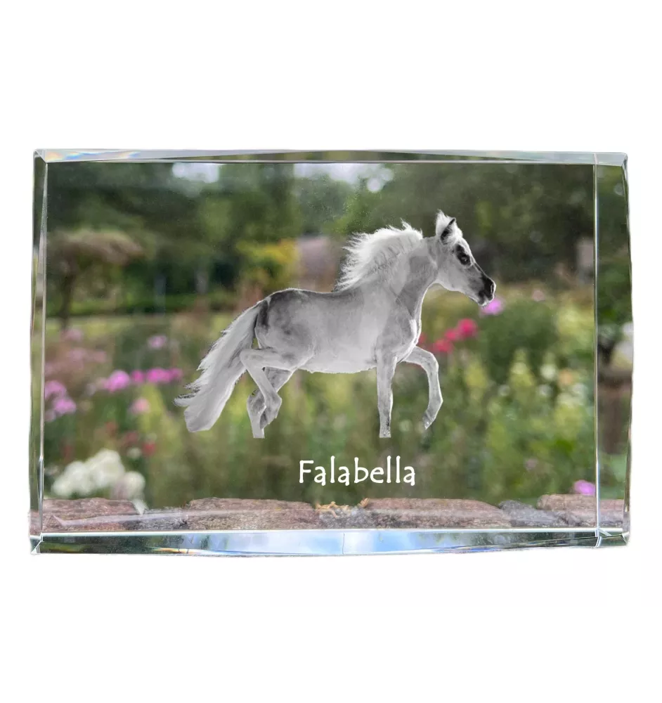 Falabella - Kristall mit einem Pferdebild, Bild im Glas, moderne Ausstellung des Art-Dog-Bildes.