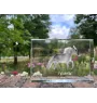Falabella - Kristall mit einem Pferdebild, Bild im Glas, moderne Ausstellung des Art-Dog-Bildes.