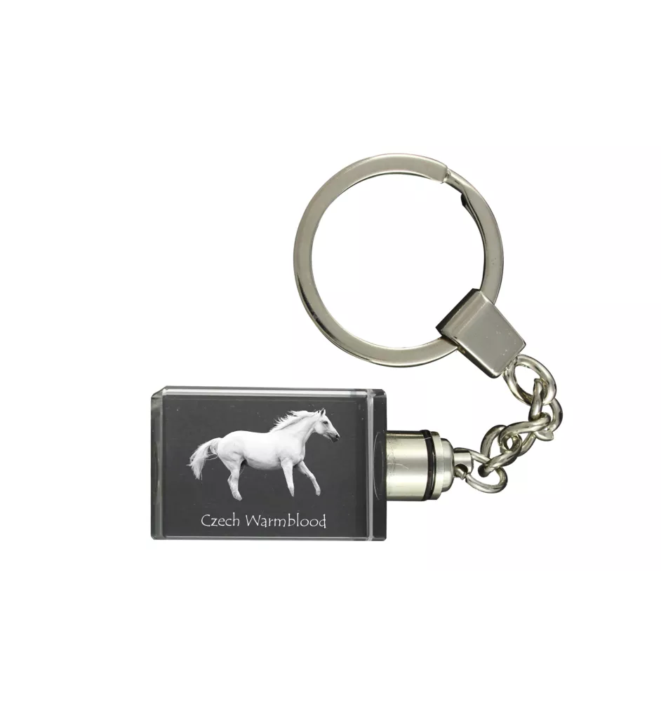 Tschechisches Warmblut - Kristall-Anhänger mit Foto eines Pferdes, beleuchteter Anhänger, einzigartiges Geschenk der Marke Art-Dog