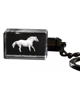 Czech Warmblood - Crystal pendant with photo of a horse, illuminated pendant, unique gift by Art-Dog brand