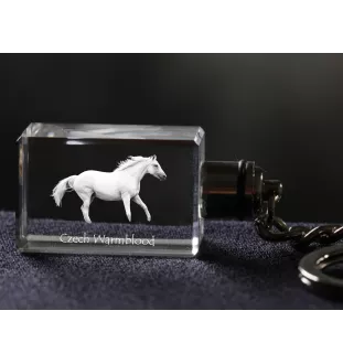 Tschechisches Warmblut - Kristall-Anhänger mit Foto eines Pferdes, beleuchteter Anhänger, einzigartiges Geschenk der Marke Art-Dog