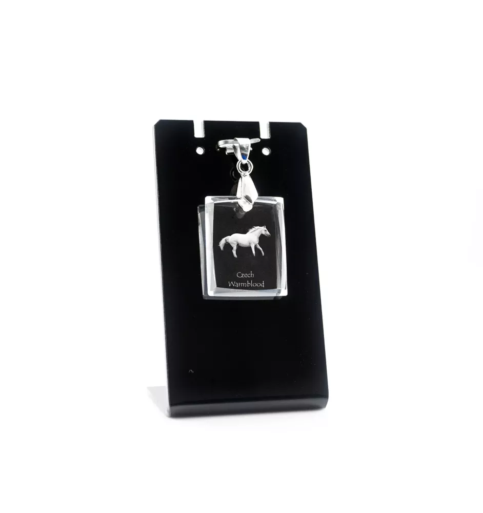 Czech Warmblood - Crystal pendant with horse, photo necklace, unique jewellery by Art-Dog