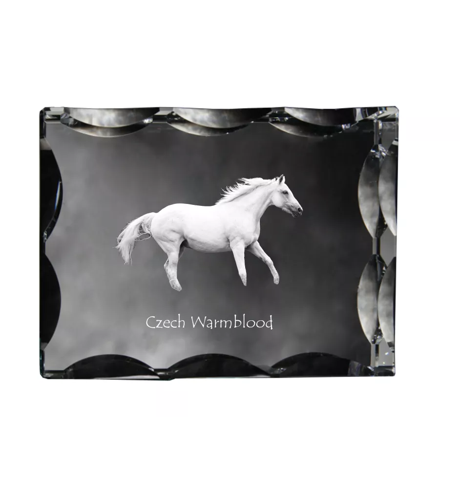 Czech Warmblood - kryształ ze zdjęciem konia, szklana statuetka ze zdjęciem, wyjątkowa ramka ze zdjęciem marki Art-Dog