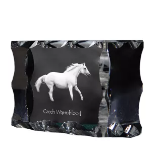 Czech Warmblood - kryształ ze zdjęciem konia, szklana statuetka ze zdjęciem, wyjątkowa ramka ze zdjęciem marki Art-Dog