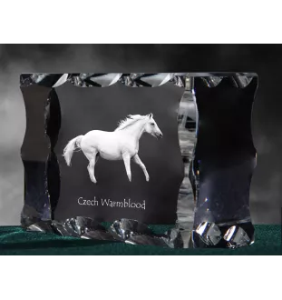 Czech Warmblood - kryształ ze zdjęciem konia, szklana statuetka ze zdjęciem, wyjątkowa ramka ze zdjęciem marki Art-Dog