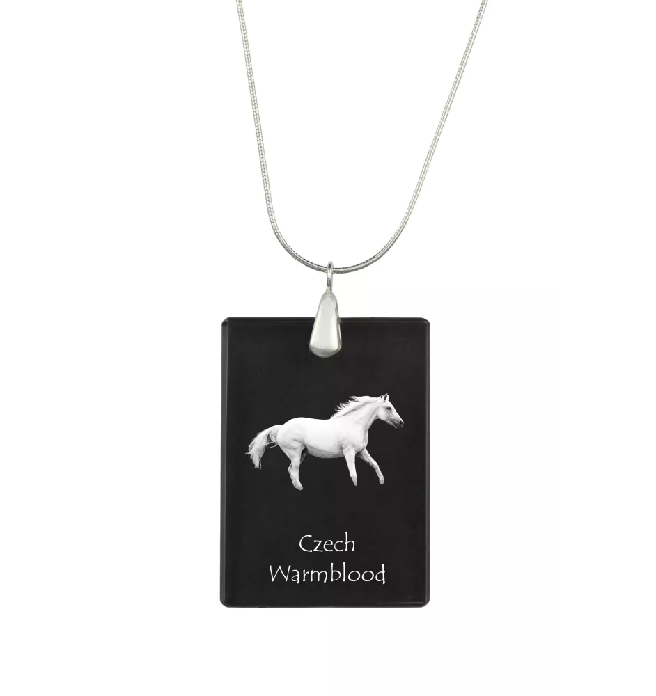 Tschechisches Warmblut - Crystal pendant with horse, silver necklace with photo, personalised pendant by Art-Dog brand