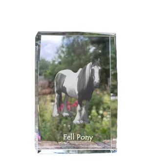 Fellpony - Kristall mit einem Pferdebild, Bild im Glas, moderne Ausstellung des Art-Dog-Bildes.