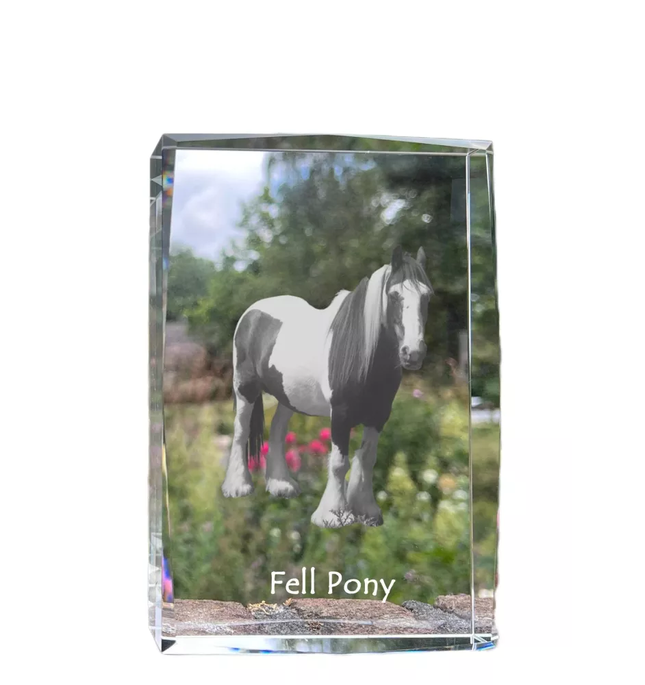 Fellpony - Kristall mit einem Pferdebild, Bild im Glas, moderne Ausstellung des Art-Dog-Bildes.