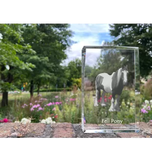 Poney Fell - cristal avec une photo de cheval, photo sous verre, exposition moderne de la marque de photos Art-Dog