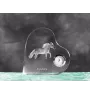 Falabella - Kristalluhr mit einem Pferdebild, Herzregal-Uhr, personalisierte Standuhr der Marke Art-Dog