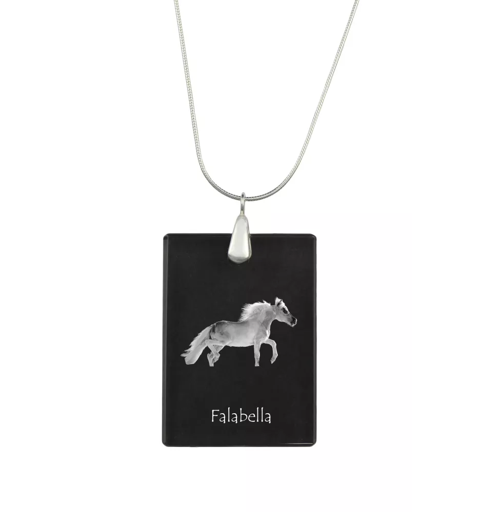 Falabella - Crystal pendant with horse, silver necklace with photo, personalised pendant by Art-Dog brand