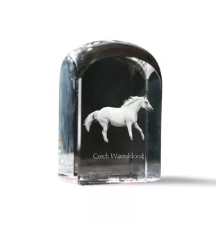 Tschechisches Warmblut - Kristallwürfel mit Bild, Pferdebild im Kristall, sechseckiger Papierclip der Marke Art-Dog