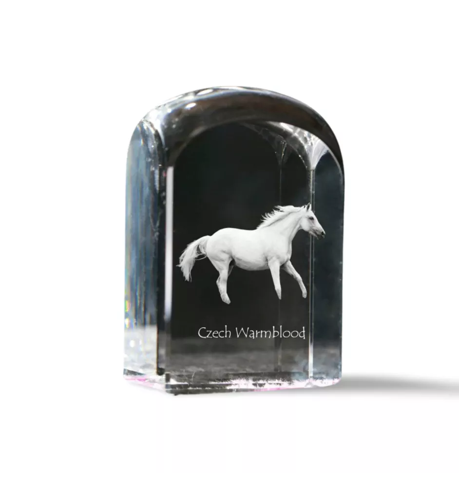 Czech Warmblood - crystal cube with a photo, photo of a horse in crystal, cubic paperweight from Art-Dog brand