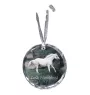 Cheval de sang tchèque - boule de Noël en cristal avec une photo, photo de cheval dans le cristal, décoration personnalisée pour sapin de Noël de la marque Art-Dog