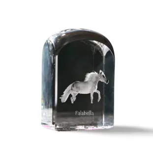 Falabella - Kristallwürfel mit Bild, Pferdebild im Kristall, sechseckiger Papierclip der Marke Art-Dog