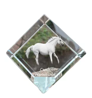 Tschechisches Warmblut - Kristallwürfel mit Pferdebild, Pferdebild im Kristall, sechseckiger Papierclip der Marke Art-Dog