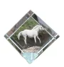 Tschechisches Warmblut - Kristallwürfel mit Pferdebild, Pferdebild im Kristall, sechseckiger Papierclip der Marke Art-Dog
