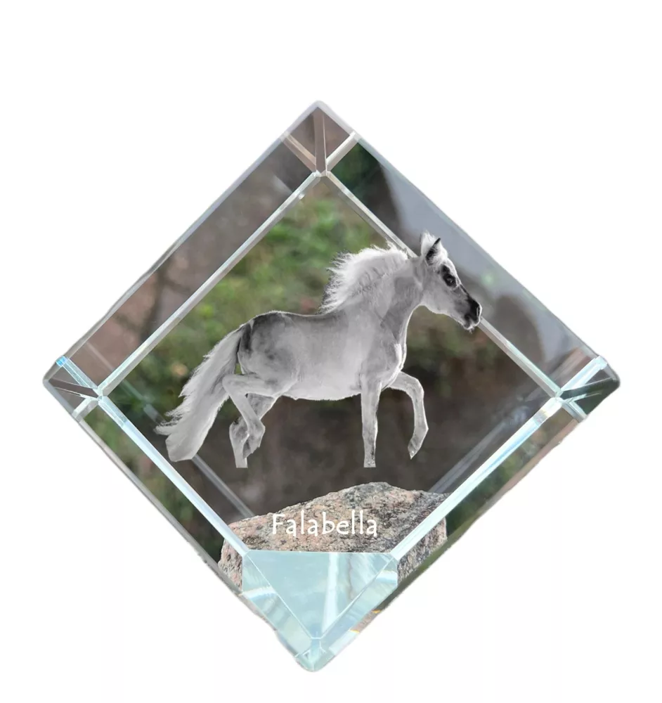Falabella - Kristallwürfel mit Pferdebild, Pferdebild im Kristall, sechseckiger Papierclip der Marke Art-Dog