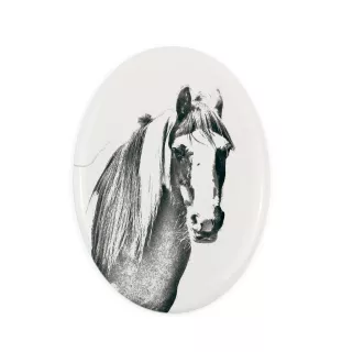 Fellpony - Gedenktafel mit einem Pferdefoto, Grabplatte mit Druck, personalisierte ovale Platte von Art-Dog.