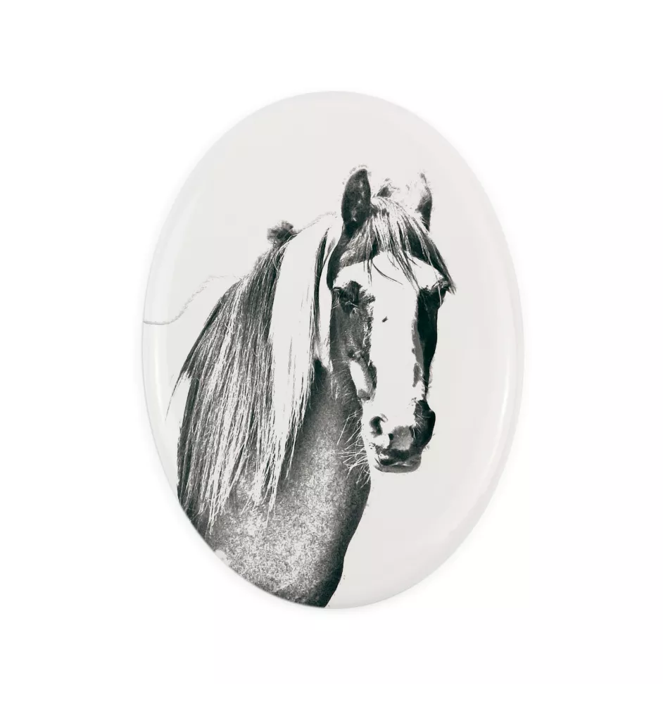 Fellpony - Gedenktafel mit einem Pferdefoto, Grabplatte mit Druck, personalisierte ovale Platte von Art-Dog.
