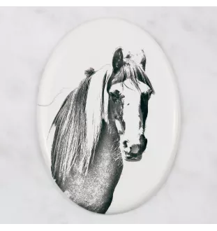 Fellpony - Gedenktafel mit einem Pferdefoto, Grabplatte mit Druck, personalisierte ovale Platte von Art-Dog.