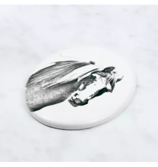 Fellpony - Gedenktafel mit einem Pferdefoto, Grabplatte mit Druck, personalisierte ovale Platte von Art-Dog.