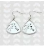 Czech Warmblood - earrings with a horse, hanging earrings with a picture, personalized jewelry with Art-Dog brand print