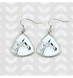 Falabella - Pferdeohrringe, hängende Ohrringe mit einem Bild, personalisierter Schmuck mit dem Aufdruck der Marke Art-Dog