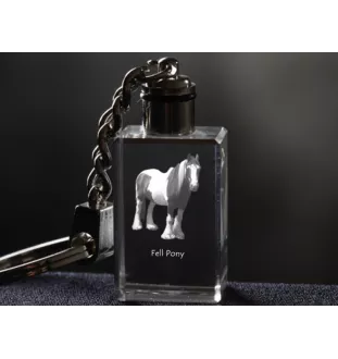 Fell Pony - Crystal pendant with photo of a horse, illuminated pendant, unique gift by Art-Dog brand