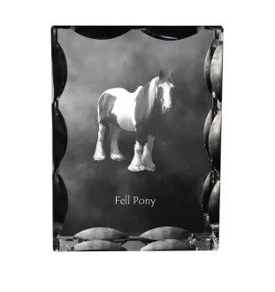 Fellpony - crystal with a picture of a horse, glass statuette with a picture, unique frame with a picture from Art-Dog brand