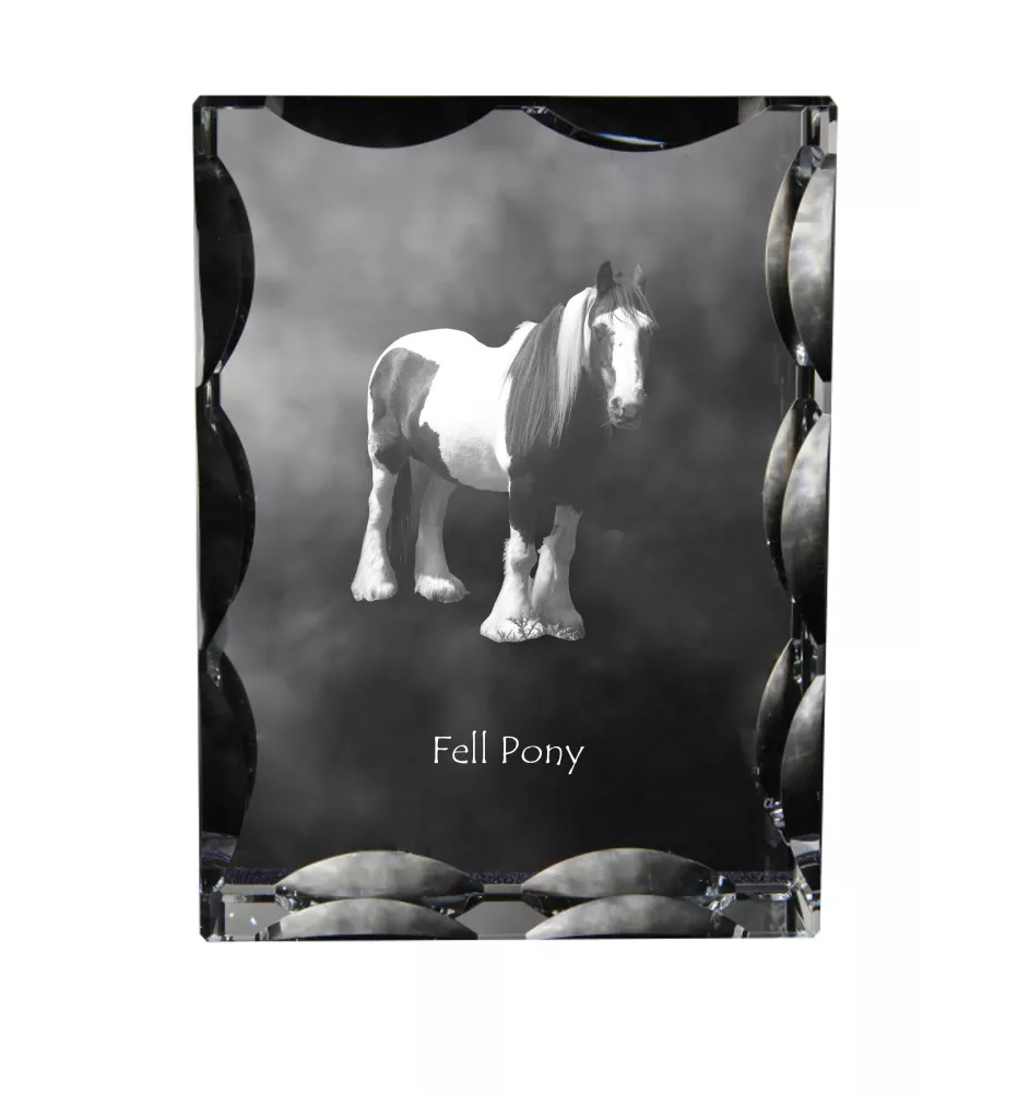 Fellpony - crystal with a picture of a horse, glass statuette with a picture, unique frame with a picture from Art-Dog brand
