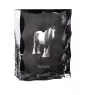 Fell Pony - kryształ ze zdjęciem konia, szklana statuetka ze zdjęciem, wyjątkowa ramka ze zdjęciem marki Art-Dog