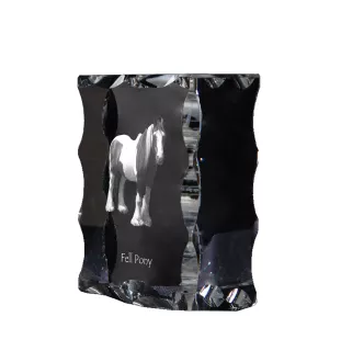Fell Pony - kryształ ze zdjęciem konia, szklana statuetka ze zdjęciem, wyjątkowa ramka ze zdjęciem marki Art-Dog