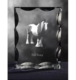 Poney Fell - Kristall mit einem Pferdebild, Glasstatuette mit einem Bild, einzigartiger Bilderrahmen der Marke Art-Dog