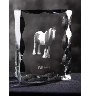 Fellpony - crystal with a picture of a horse, glass statuette with a picture, unique frame with a picture from Art-Dog brand