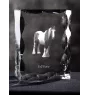 Fellpony - crystal with a picture of a horse, glass statuette with a picture, unique frame with a picture from Art-Dog brand