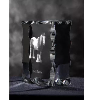 Fell Pony - kryształ ze zdjęciem konia, szklana statuetka ze zdjęciem, wyjątkowa ramka ze zdjęciem marki Art-Dog