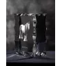 Fellpony - crystal with a picture of a horse, glass statuette with a picture, unique frame with a picture from Art-Dog brand