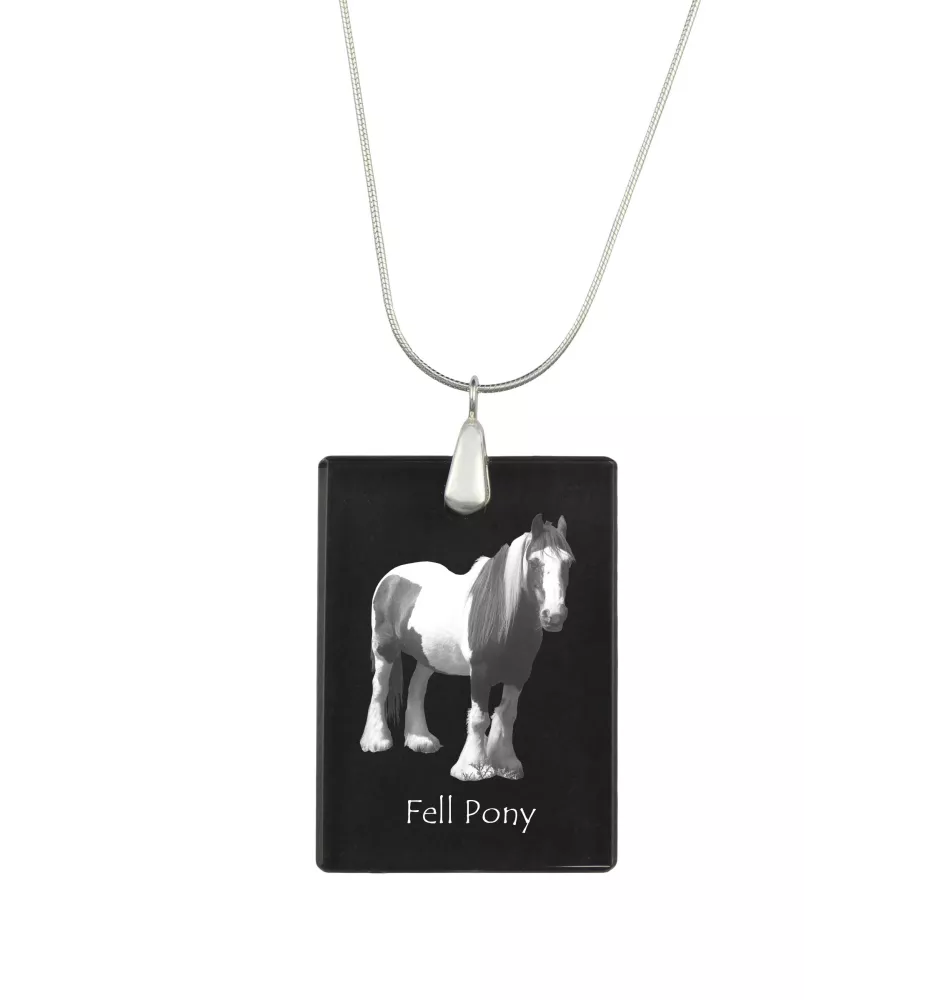 Fell Pony - Crystal pendant with horse, silver necklace with photo, personalised pendant by Art-Dog brand