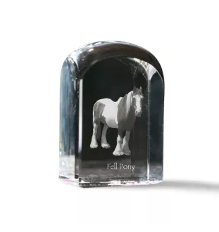 Fell Pony - crystal cube with a photo, photo of a horse in crystal, cubic paperweight from Art-Dog brand