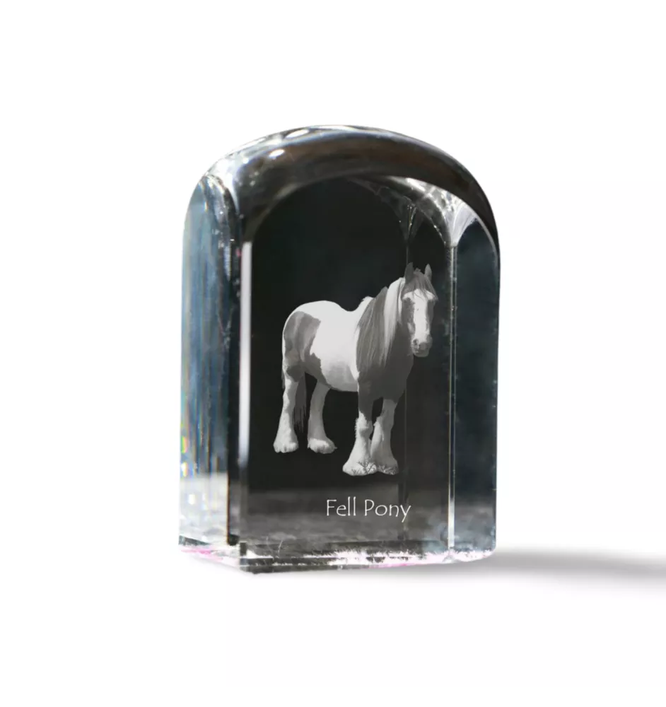 Poney Fell - un cube de cristal avec une photo, une photo de cheval dans le cristal, un presse-papiers cubique de la marque Art-Dog
