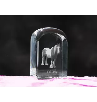 Poney Fell - un cube de cristal avec une photo, une photo de cheval dans le cristal, un presse-papiers cubique de la marque Art-Dog